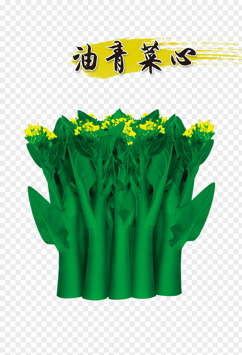 Chinese Cabbage Choy Sum Taobao Vegetable Seed Tmall PNG