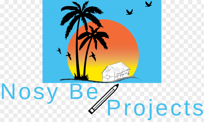 Coconut Nosy Be Projects Arecaceae Gift Sea PNG