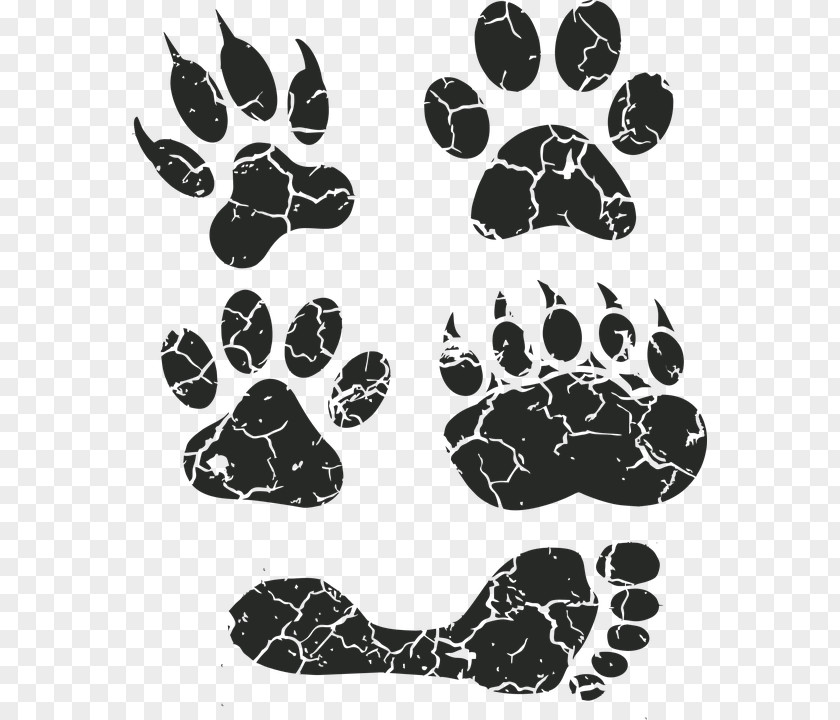 Dog Paw Footprint Animal Track Clip Art PNG
