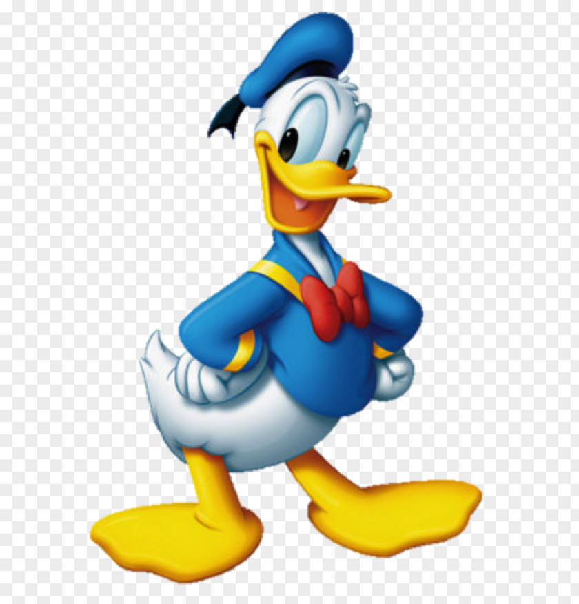 Donald Duck Duck: Goin' Quackers Goofy Mickey Mouse Drawing PNG