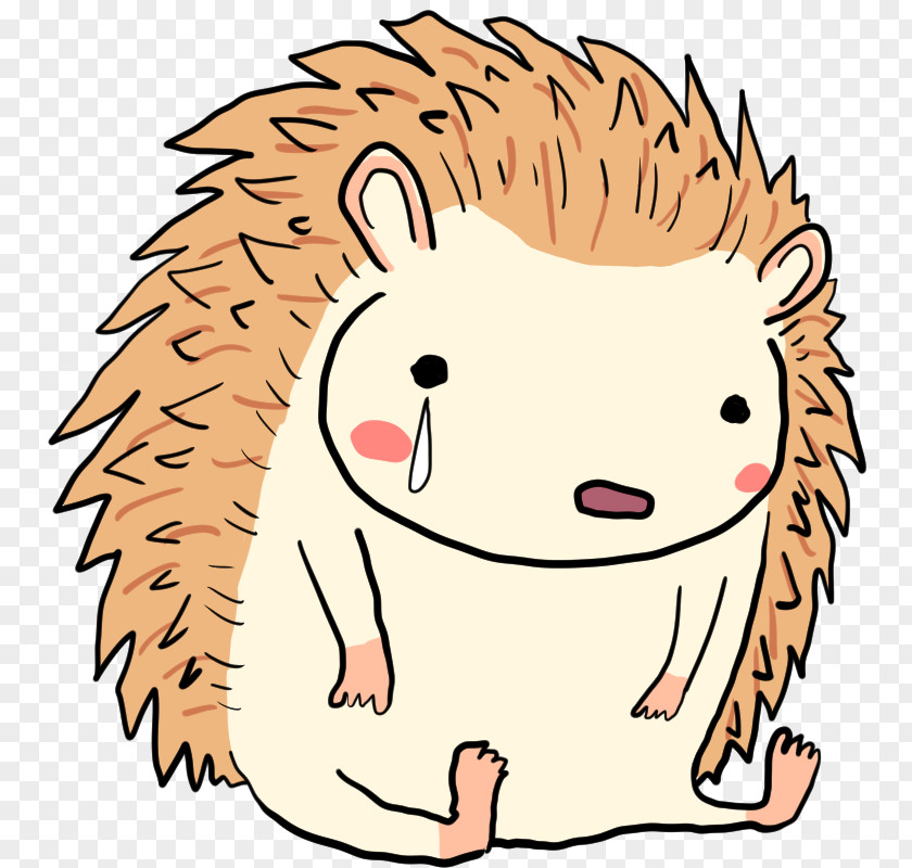 Hedgehog Illustration Sadness Crying Anger PNG