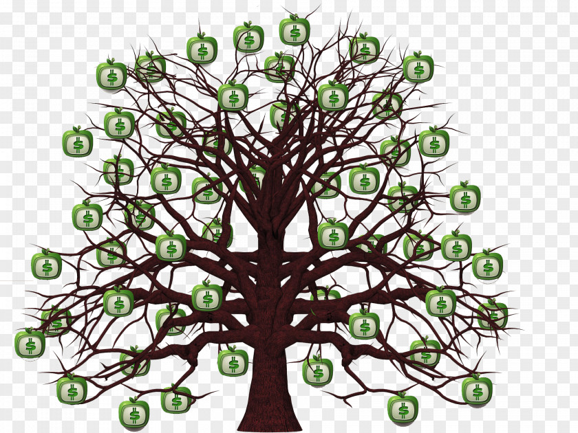 Money Tree Finance Investment Saving Value PNG