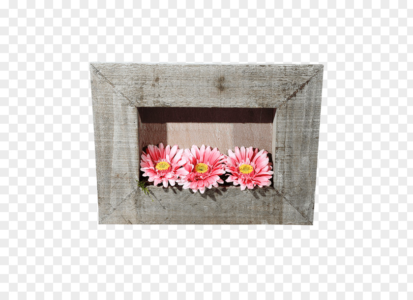 Succulent Border Place Mats Rectangle Flower Petal Picture Frames PNG