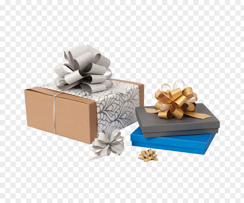Box Bag Gift Cargo PNG