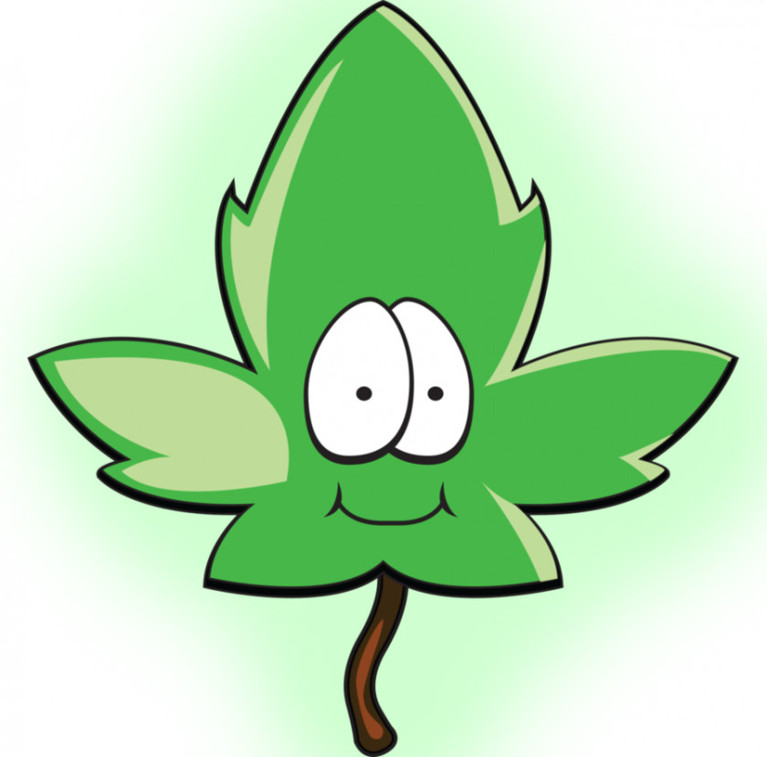 Cartoon Leaf Clip Art PNG