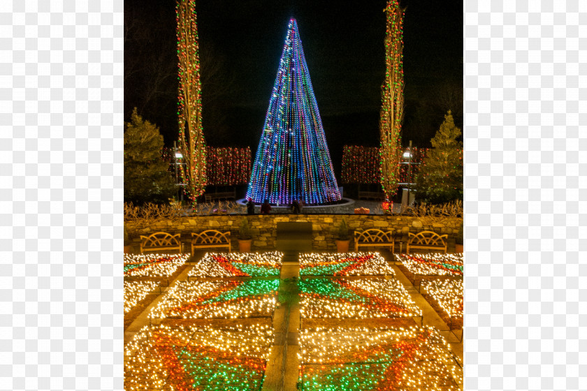 Christmas Tree Lighting Ornament Lights PNG
