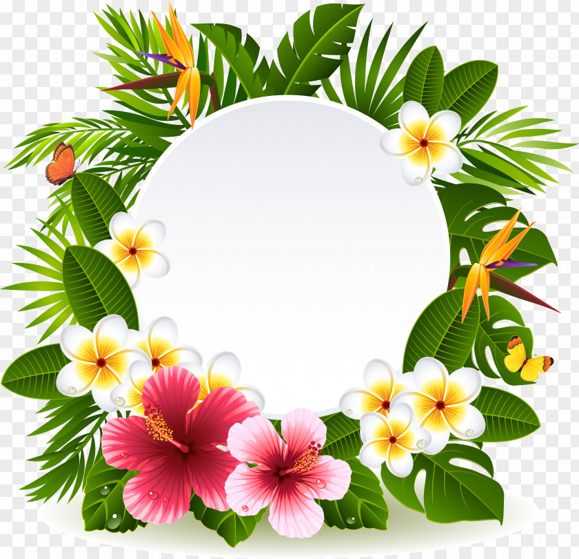 Flowers And Foliage Decoration Vector Flower Stock Photography Clip Art PNG