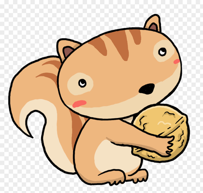 Squirrel Chipmunk Juglans Kurumi Orthopedic Clinic PNG