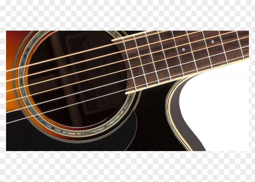 Bass Guitar Acoustic Acoustic-electric Takamine Guitars PNG