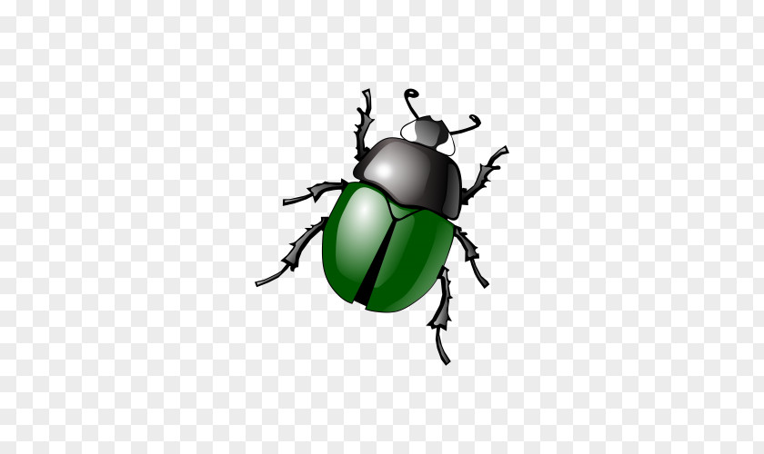 Beetle Painted Image Free Content Software Bug Clip Art PNG