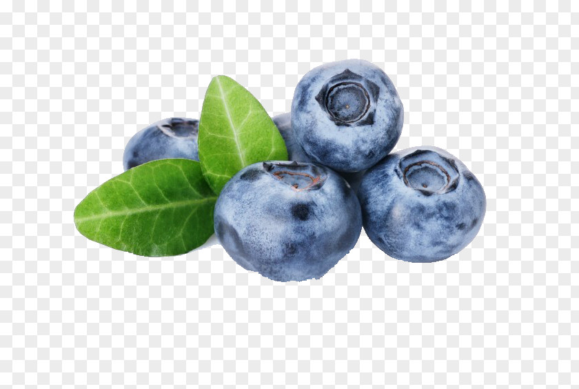 Blueberry Highbush Cocktail Stock Photography PNG