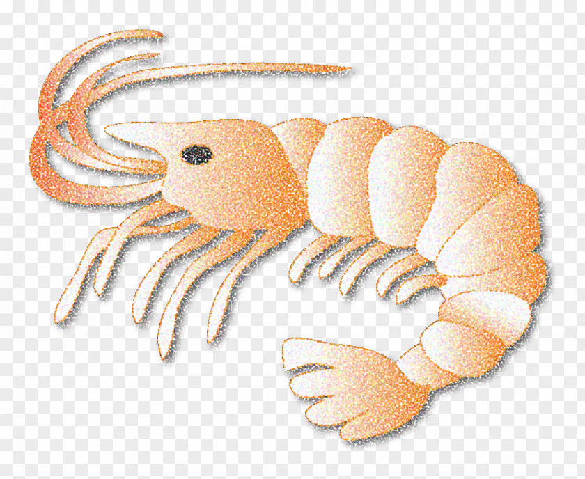 Crab Leftovers Logo Pizza Symbol PNG Symbol, shrimps clipart PNG