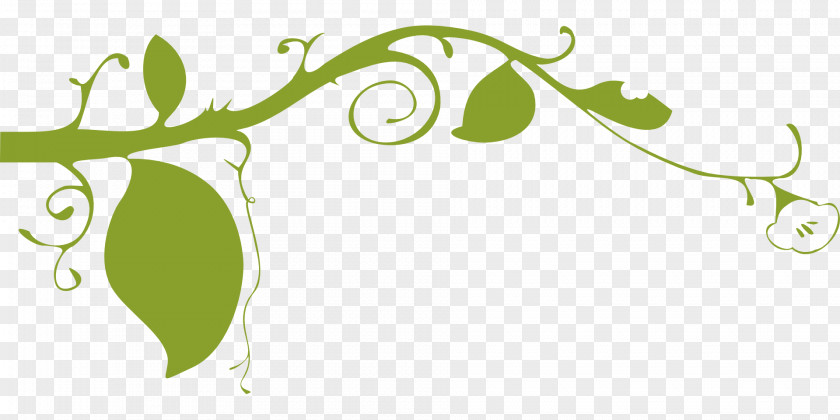 Green Floral Vine Plant Clip Art PNG