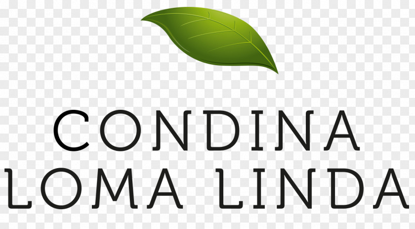 Logo Brand Font Leaf Product PNG