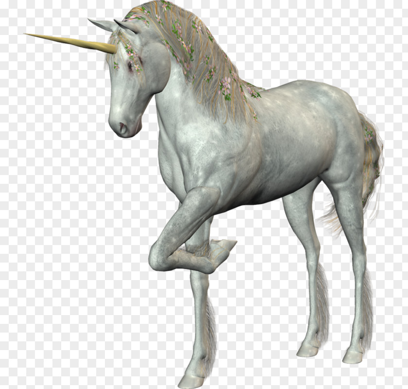 White Unicorn The Black PNG