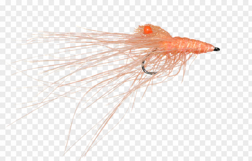 Artificial Fly Fish Orange S.A. PNG