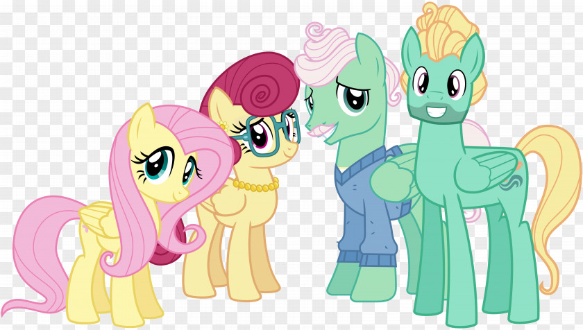 Bulk Couple Fluttershy Twilight Sparkle Pony Rainbow Dash Pinkie Pie PNG