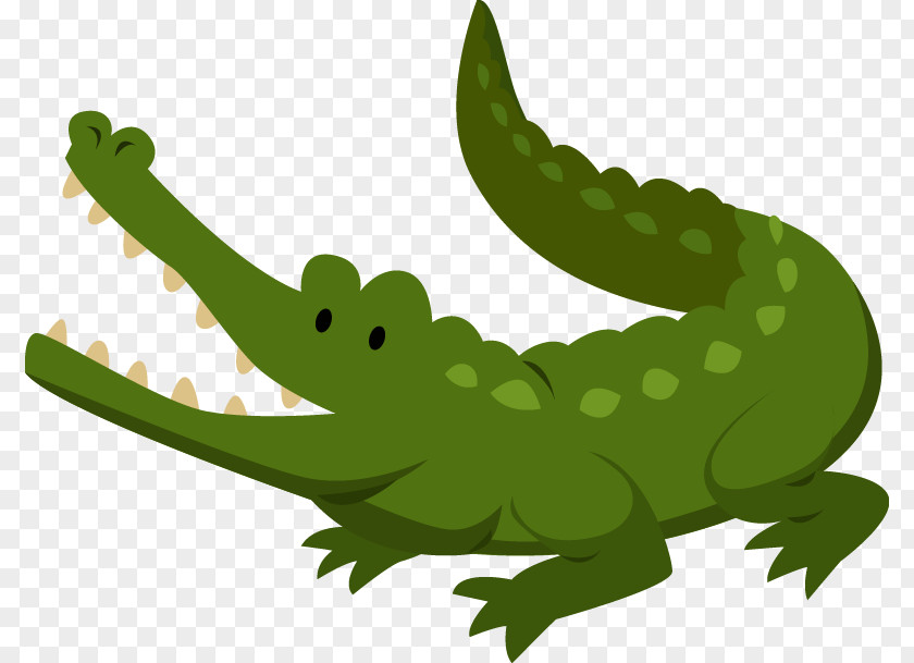 Crocodile Alligator Crocodiles T-shirt Illustration PNG
