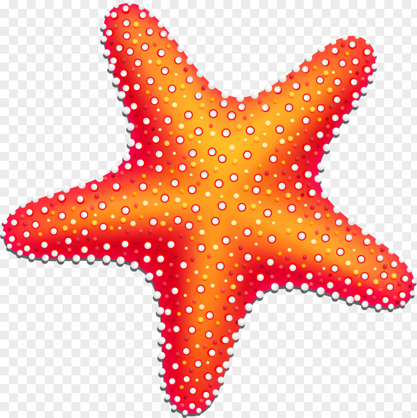 Hand Painted Red Starfish Drawing Information PNG