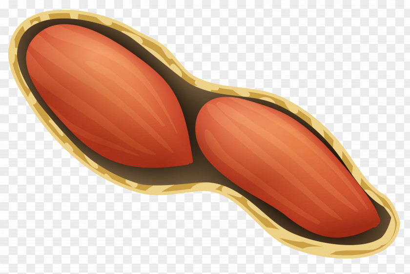Polka Dot Peanut Clip Art PNG