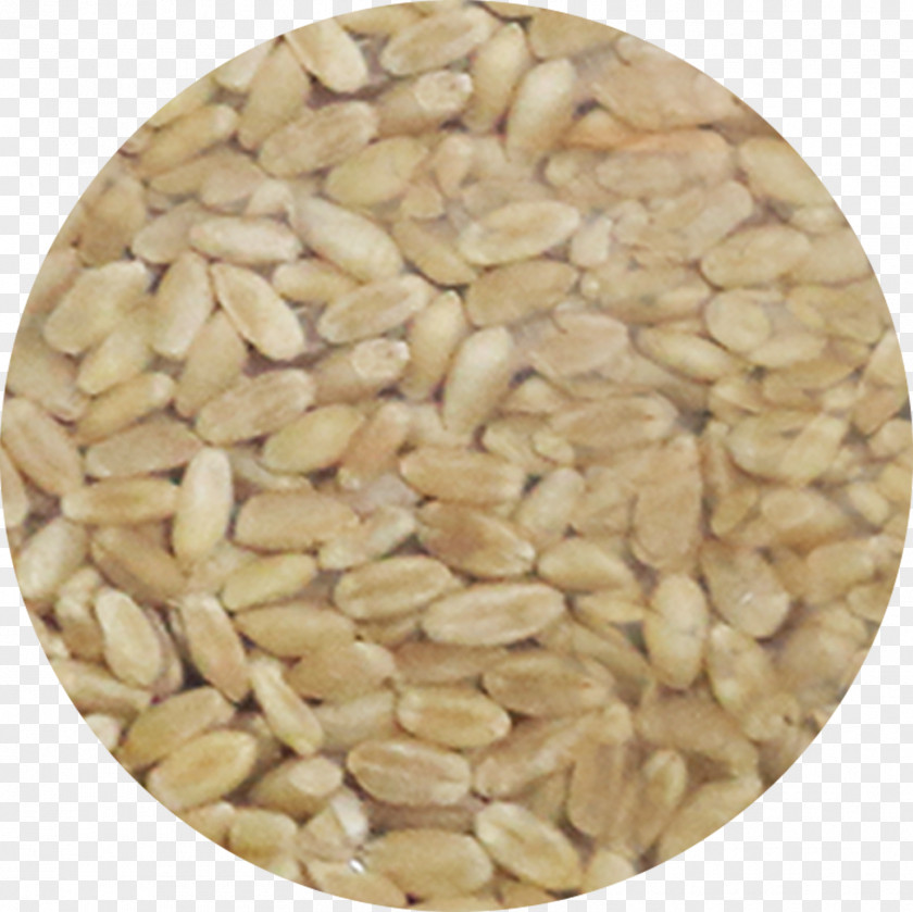 Whole Grains Peanut Cereal Germ Ingredient Seed PNG