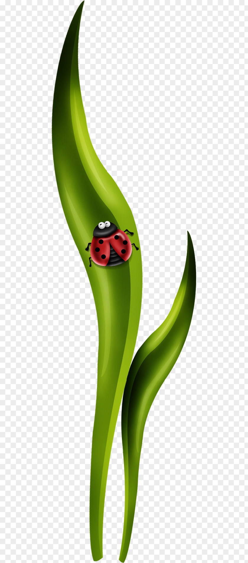 Creative Green Leaves Ladybug Cartoon PNG