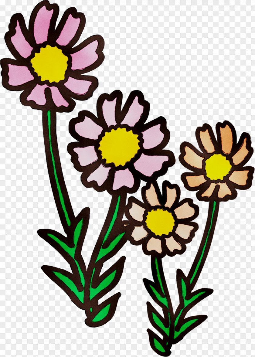 Floral Design Cut Flowers Chrysanthemum Plant Stem Product PNG