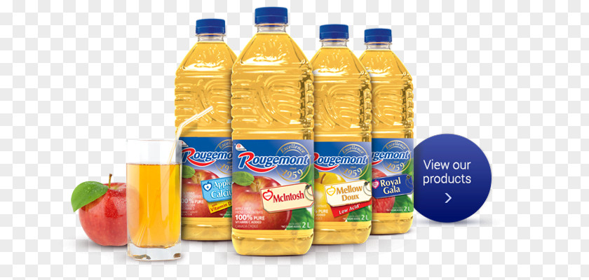 Fruit Juice Company Plastic Bottle Flavor By Bob Holmes, Jonathan Yen (narrator) (9781515966647) Food PNG