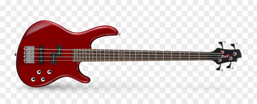 Bass Guitar Double Fender Jazz PNG