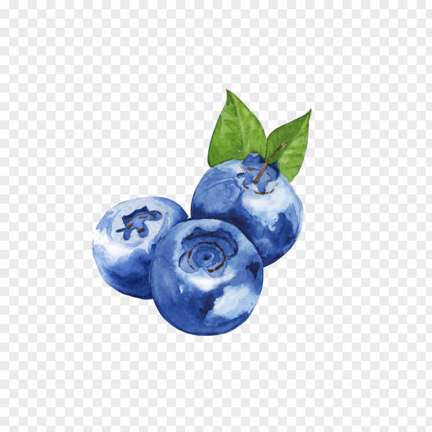 Blueberry Bilberry Tea Food Milk PNG