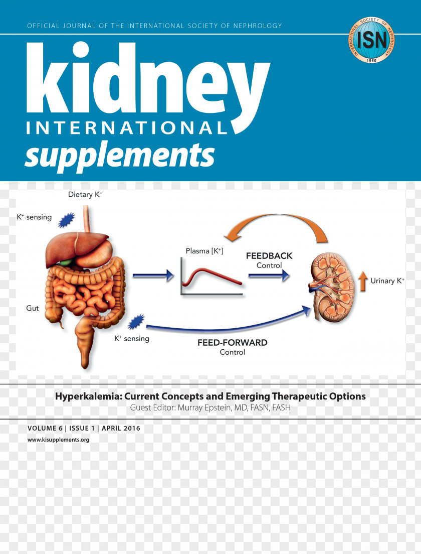 Dietary Supplement Kidney International Disease: Improving Global Outcomes Society Of Nephrology Chronic Disease PNG