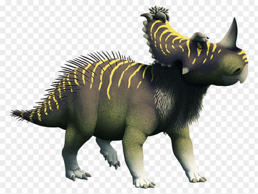Dinosaur Centrosaurus Coronosaurus Pachyrhinosaurus Late Cretaceous PNG
