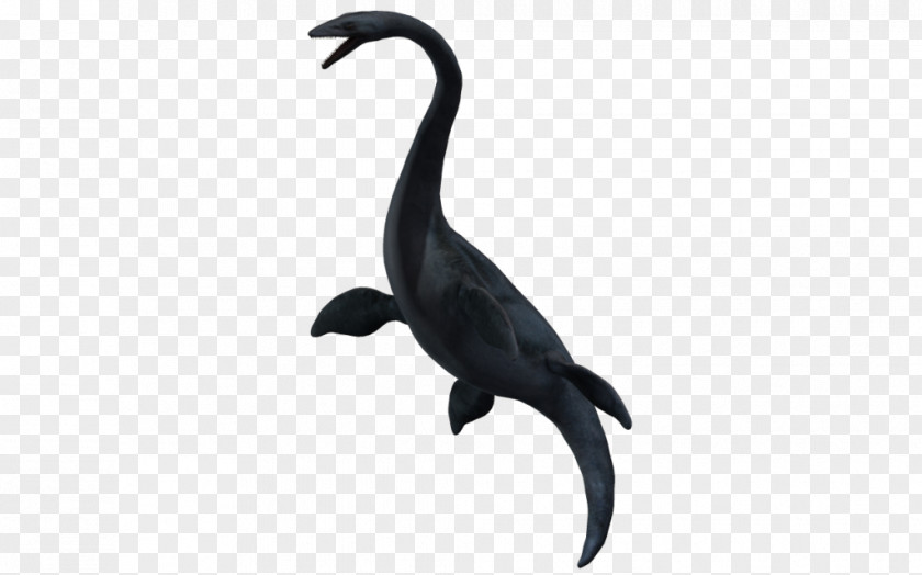 Dinosaur Elasmosaurus Spinosaurus Bird Animal PNG