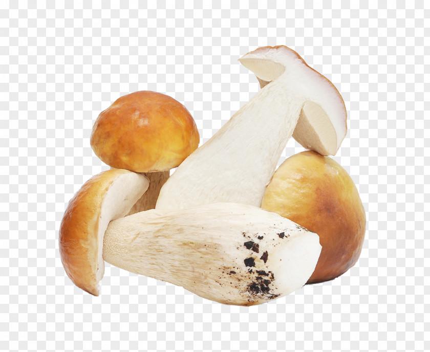 Mushrooms Edible Mushroom Tomato Soup Boletus Edulis Food PNG