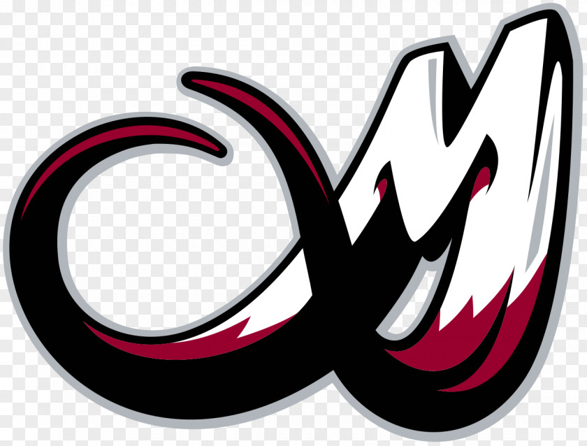 Rally Pepsi Center Colorado Mammoth National Lacrosse League Rapids Avalanche PNG