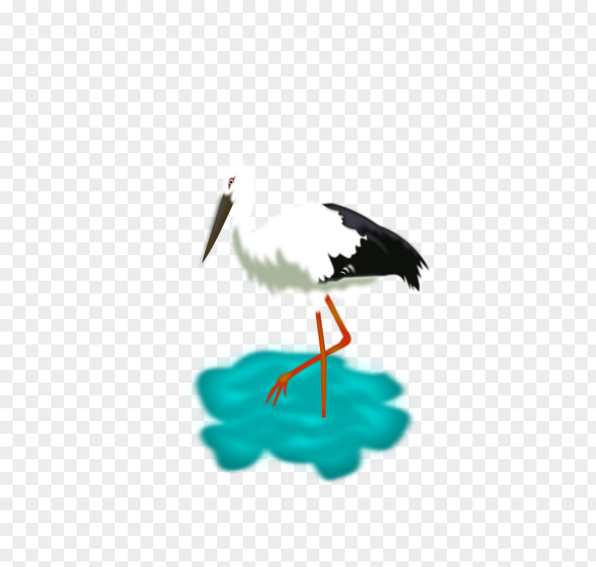 Stork White Bird PNG