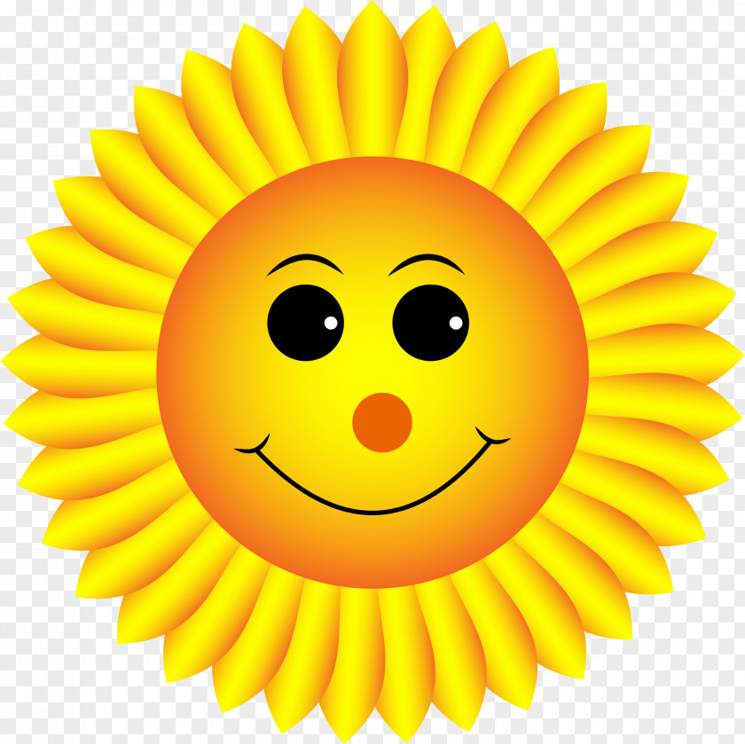 Sunflowers Smiley Emoticon Clip Art PNG