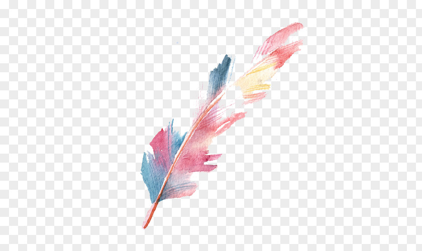 Watercolor Feather PNG feather clipart PNG