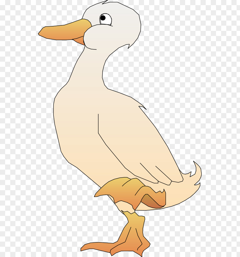 Bird Cartoon Duck Animation Clip Art PNG