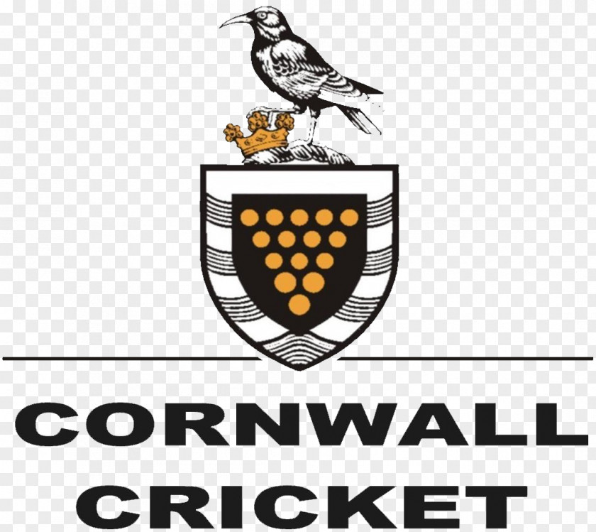 College Football Flyer Cornwall Council St Erth Royal Show Court PNG
