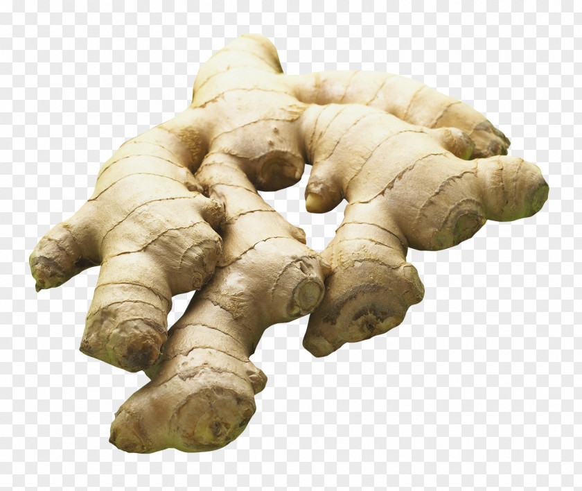 Ginger Icon PNG