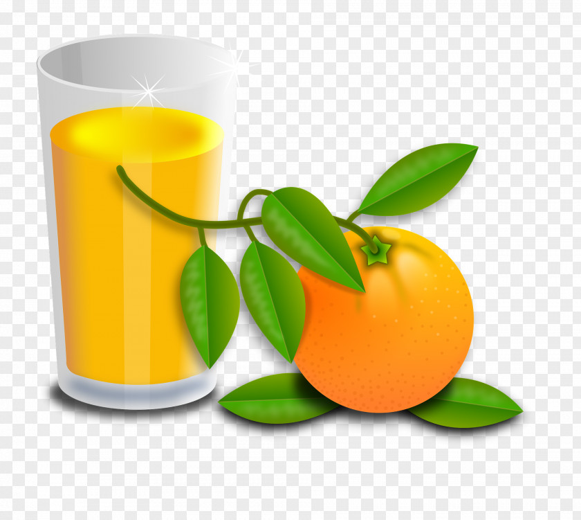 Juice Orange Punch Smoothie PNG