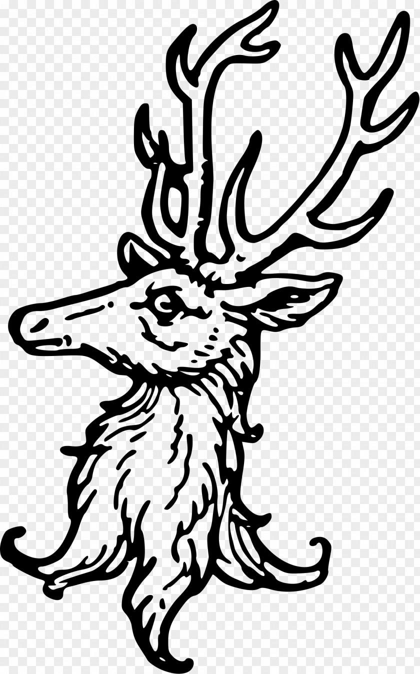 Lions Head Deer Complete Guide To Heraldry Drawing Clip Art PNG