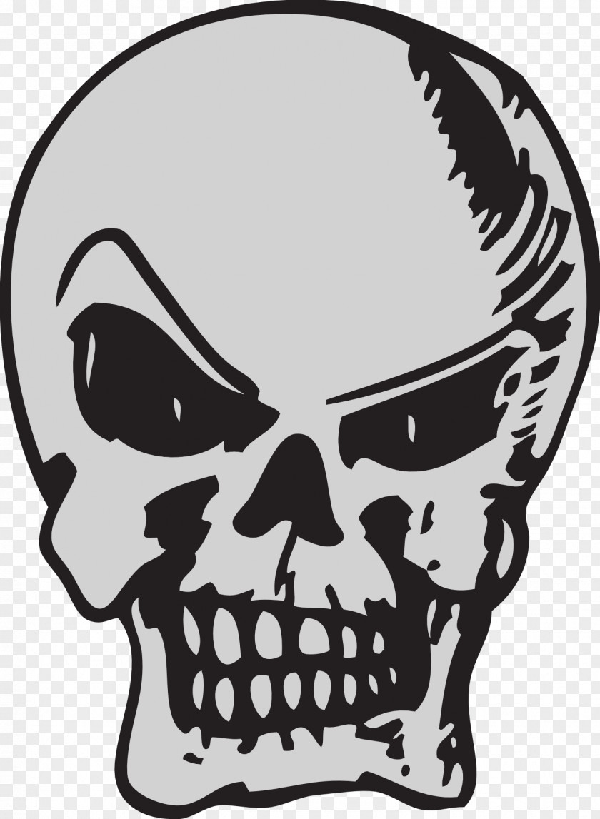 Skulls Skull Clip Art PNG