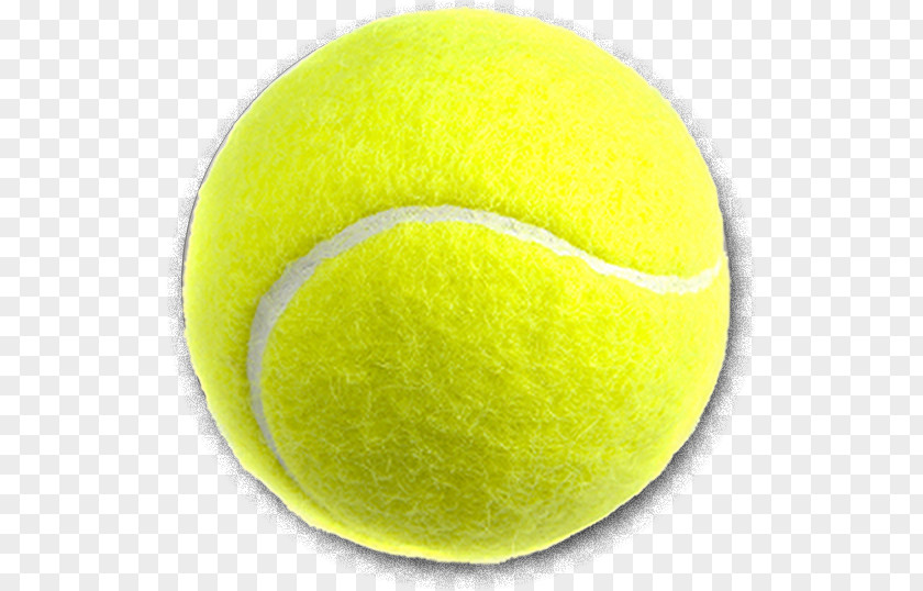 Tennis Ball Icon Balls Yellow Sporting Goods PNG
