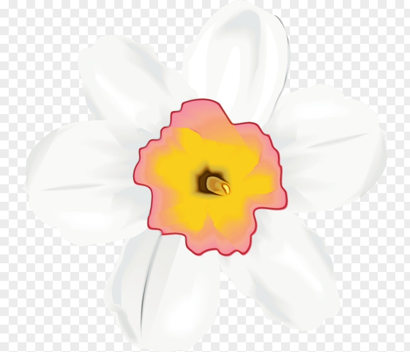 White Petal Flower Pink Yellow PNG