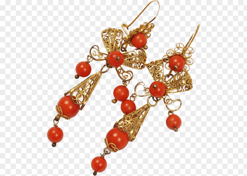 Coral Collection Earring Jewellery Clothing Accessories Gemstone Bead PNG