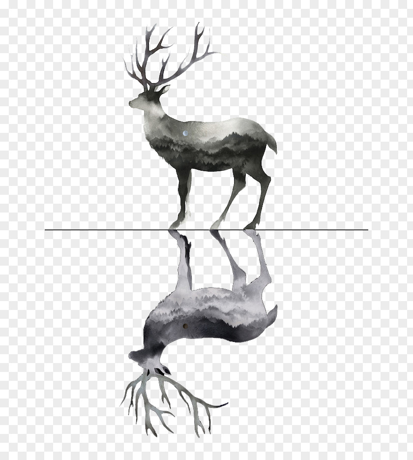 Deer Watercolor Painting Drawing PNG
