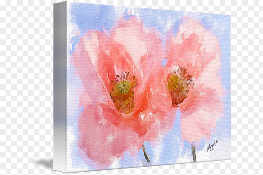 Poppies Drawing Watercolor Painting Still Life Photography Acrylic Paint PNG
