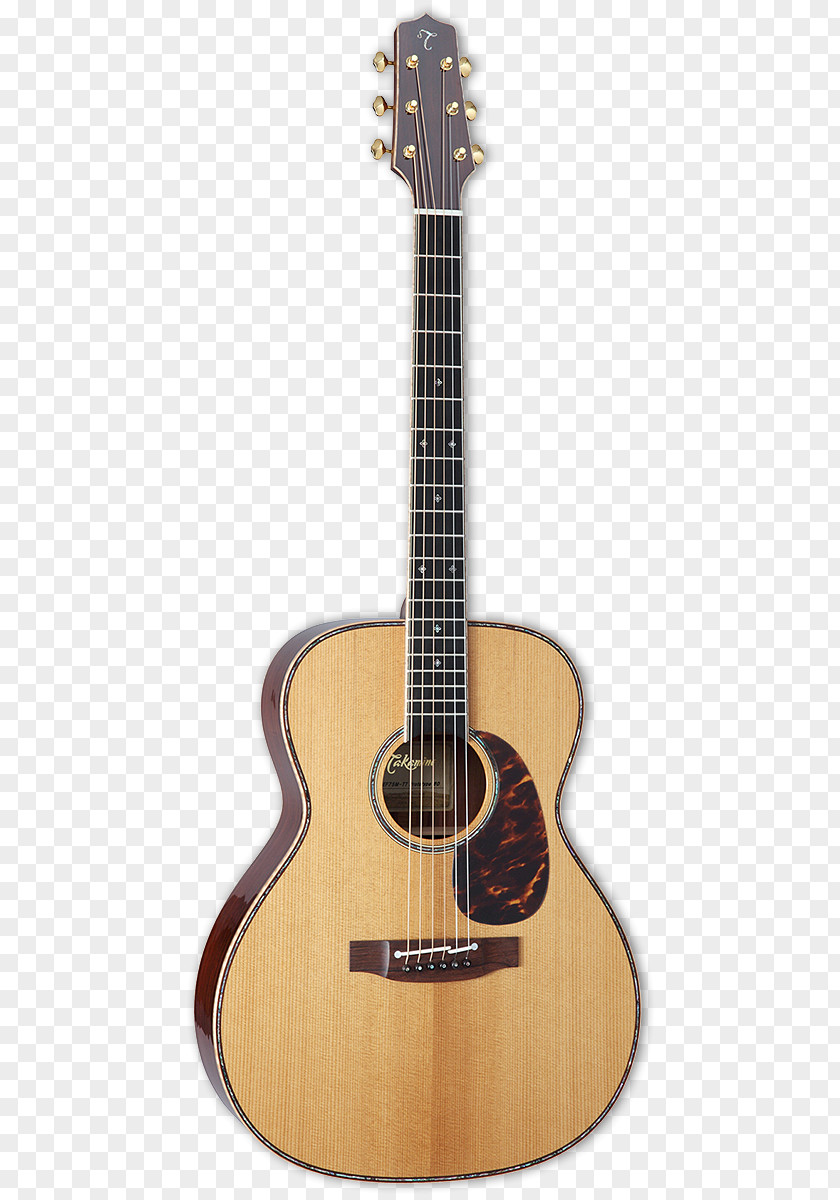 Takamine Acoustic Guitar Steel-string Dreadnought Electric PNG